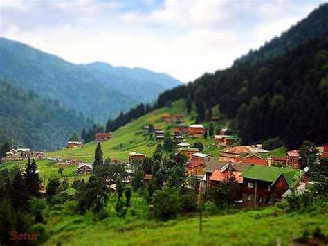 Karadeniz Yaylaları: Doğa ile Baş Başa