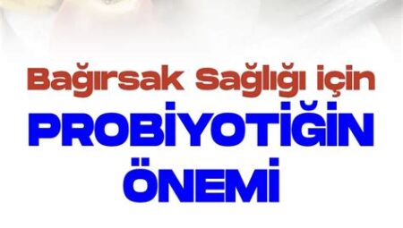 Bağırsak Sağlığı İçin Probiyotiklerin Önemi